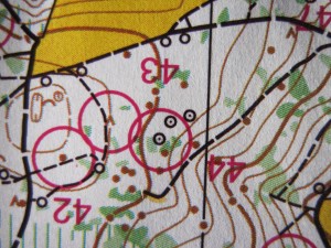 IMG_3299 - Arbeitskopie 2